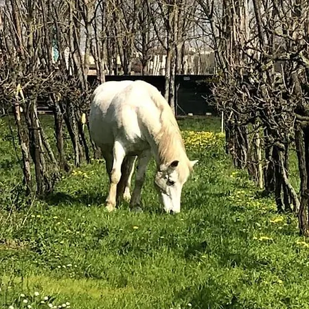 Casetta Di Campagna Dom wakacyjny *