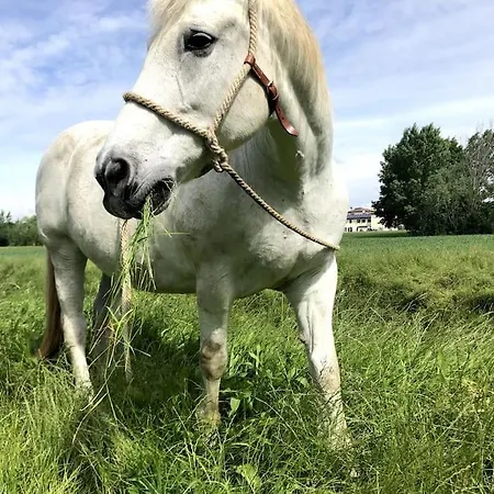 Casetta Di Campagna Dom wakacyjny